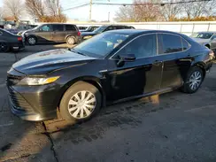 4T1B31HK0KU510190 2019 TOYOTA CAMRY