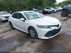 4T1B31HK0KU510402 2019 TOYOTA CAMRY