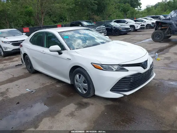 4T1B31HK0KU510402 2019 TOYOTA CAMRY