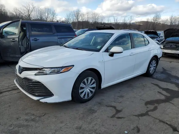4T1B31HK0KU511338 2019 TOYOTA CAMRY - Image 1