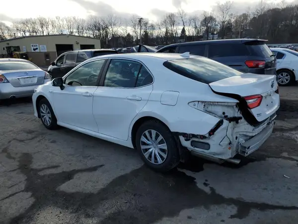 4T1B31HK0KU511338 2019 TOYOTA CAMRY - Image 2