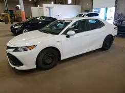 4T1B31HK0KU511632 2019 TOYOTA CAMRY