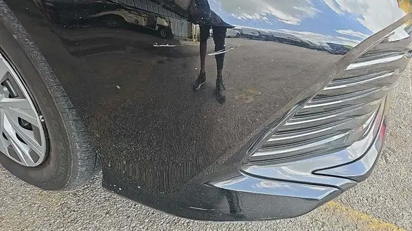 4T1B31HK0KU511923 2019 TOYOTA CAMRY - Image 2