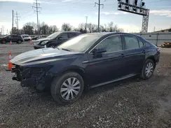 4T1B31HK0KU512103 2019 TOYOTA CAMRY