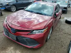 4T1B31HK0KU512442 2019 TOYOTA CAMRY