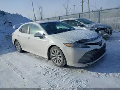 4T1B31HK0KU513218 2019 TOYOTA CAMRY