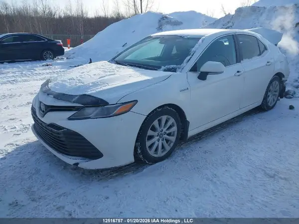 4T1B31HK0KU513218 2019 TOYOTA CAMRY - Image 2