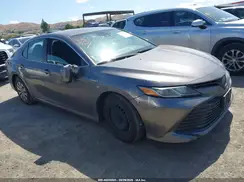 4T1B31HK0KU514109 2019 TOYOTA CAMRY