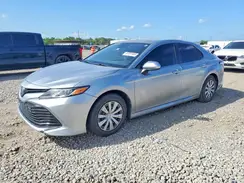 4T1B31HK0KU515020 2019 TOYOTA CAMRY
