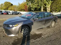 4T1B31HK0KU515499 2019 TOYOTA CAMRY