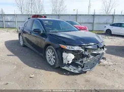 4T1B31HK0KU516314 2019 TOYOTA CAMRY
