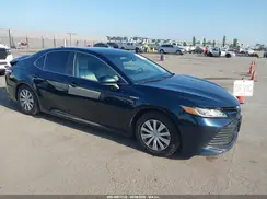 4T1B31HK0KU517737 2019 TOYOTA CAMRY
