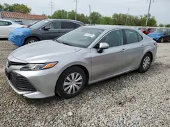 4T1B31HK0KU517804 2019 TOYOTA CAMRY
