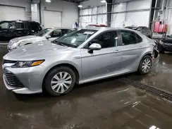 4T1B31HK1KU005193 2019 TOYOTA CAMRY