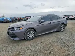 4T1B31HK1KU005548 2019 TOYOTA CAMRY