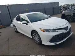 4T1B31HK1KU005582 2019 TOYOTA CAMRY