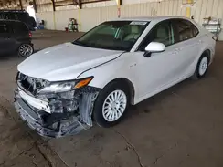 4T1B31HK1KU005906 2019 TOYOTA CAMRY