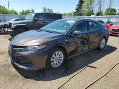 4T1B31HK1KU006084 2019 TOYOTA CAMRY