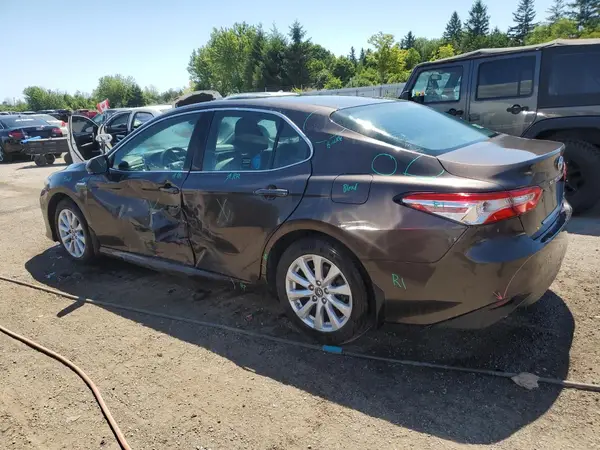 4T1B31HK1KU006084 2019 TOYOTA CAMRY - Image 2