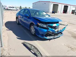 4T1B31HK1KU009101 2019 TOYOTA CAMRY