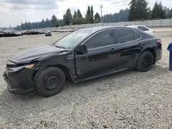 4T1B31HK1KU508769 2019 TOYOTA CAMRY
