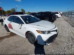 4T1B31HK1KU508948 2019 TOYOTA CAMRY