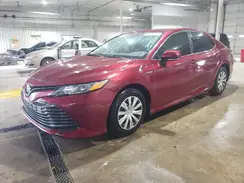 4T1B31HK1KU509646 2019 TOYOTA CAMRY