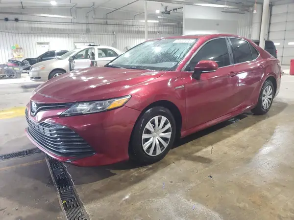 4T1B31HK1KU509646 2019 TOYOTA CAMRY - Image 1