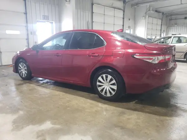 4T1B31HK1KU509646 2019 TOYOTA CAMRY - Image 2