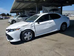 4T1B31HK1KU509758 2019 TOYOTA CAMRY
