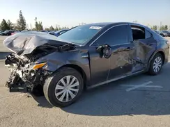 4T1B31HK1KU509906 2019 TOYOTA CAMRY
