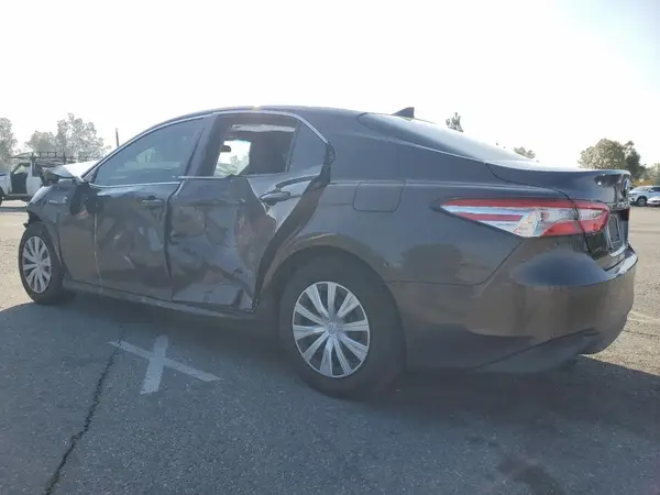 4T1B31HK1KU509906 2019 TOYOTA CAMRY - Image 2