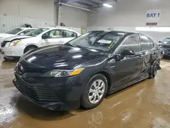 4T1B31HK1KU510134 2019 TOYOTA CAMRY
