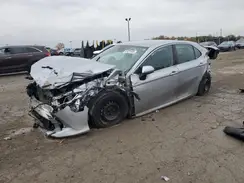 4T1B31HK1KU510327 2019 TOYOTA CAMRY