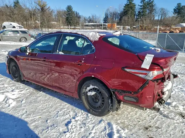 4T1B31HK1KU510652 2019 TOYOTA CAMRY - Image 2
