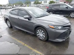 4T1B31HK1KU512076 2019 TOYOTA CAMRY