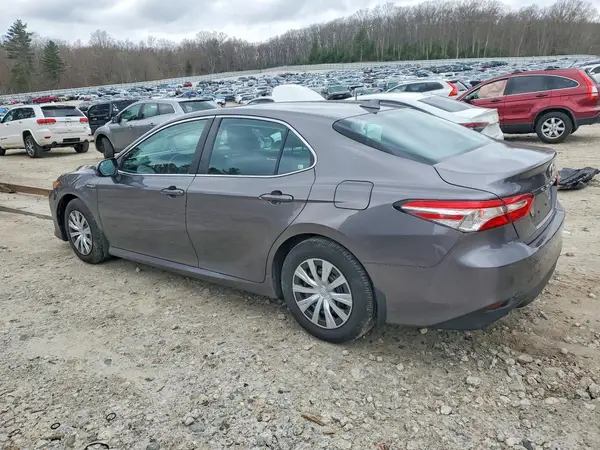4T1B31HK1KU512224 2019 TOYOTA CAMRY - Image 2