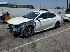4T1B31HK1KU513390 2019 TOYOTA CAMRY