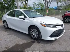 4T1B31HK1KU514944 2019 TOYOTA CAMRY