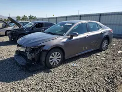 4T1B31HK1KU515009 2019 TOYOTA CAMRY