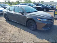 4T1B31HK1KU515429 2019 TOYOTA CAMRY