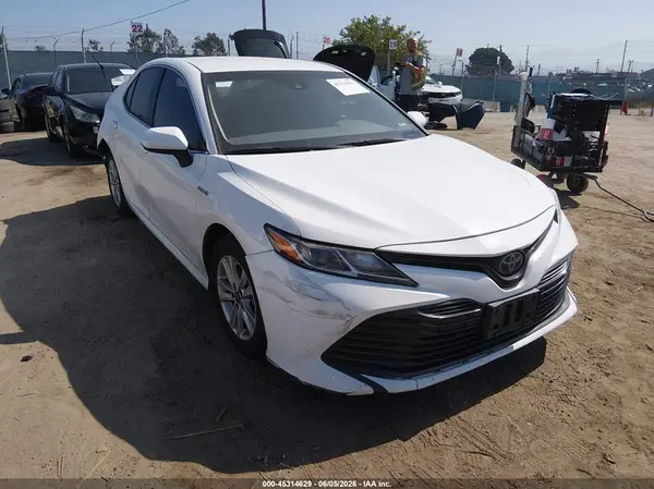 4T1B31HK1KU516712 2019 TOYOTA CAMRY - Image 1