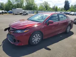 4T1B31HK1KU516788 2019 TOYOTA CAMRY