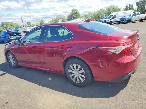 4T1B31HK1KU516788 2019 TOYOTA CAMRY - Image 2