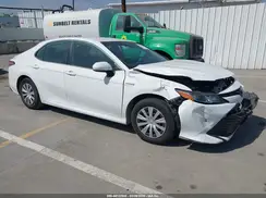 4T1B31HK1KU517035 2019 TOYOTA CAMRY