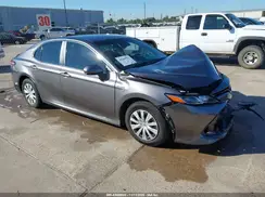 4T1B31HK1KU517066 2019 TOYOTA CAMRY