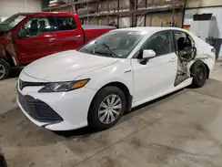 4T1B31HK1KU517763 2019 TOYOTA CAMRY