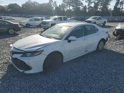 4T1B31HK2KU005509 2019 TOYOTA CAMRY