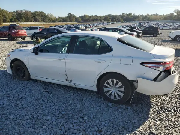 4T1B31HK2KU005509 2019 TOYOTA CAMRY - Image 2