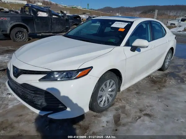 4T1B31HK2KU006126 2019 TOYOTA CAMRY - Image 2